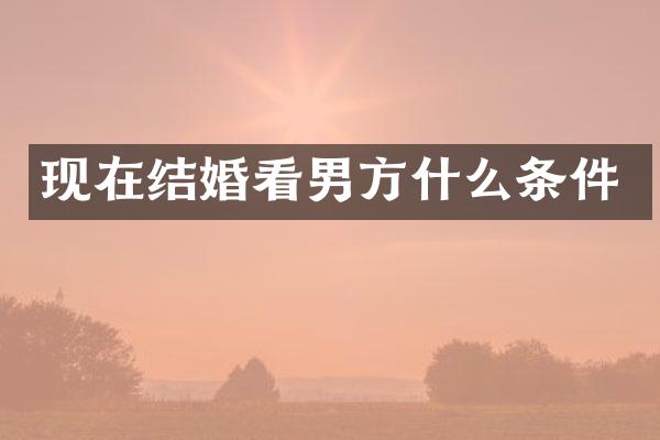 现在结婚看男方什么条件