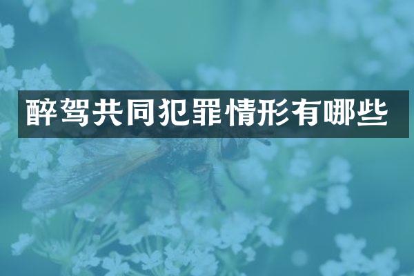 醉驾共同犯罪情形有哪些