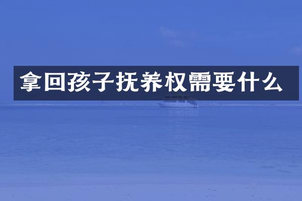拿回孩子抚养权需要什么