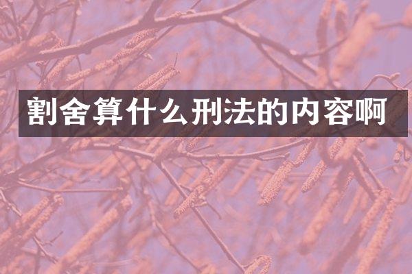 割舍算什么刑法的内容啊
