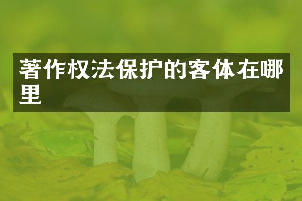 著作权法保护的客体在哪里