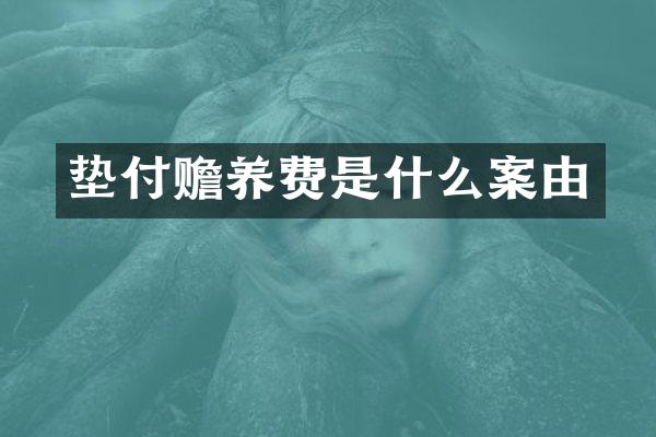 垫付赡养费是什么案由
