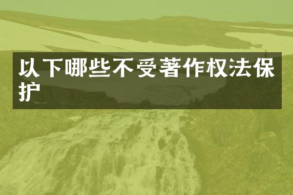 以下哪些不受著作权法保护