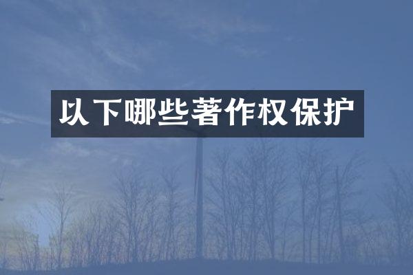 以下哪些著作权保护