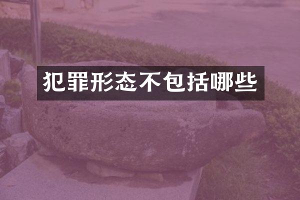犯罪形态不包括哪些
