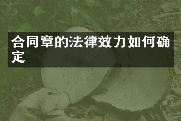 合同章的法律效力如何确定