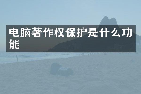 电脑著作权保护是什么功能