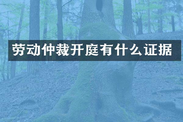 劳动仲裁开庭有什么证据