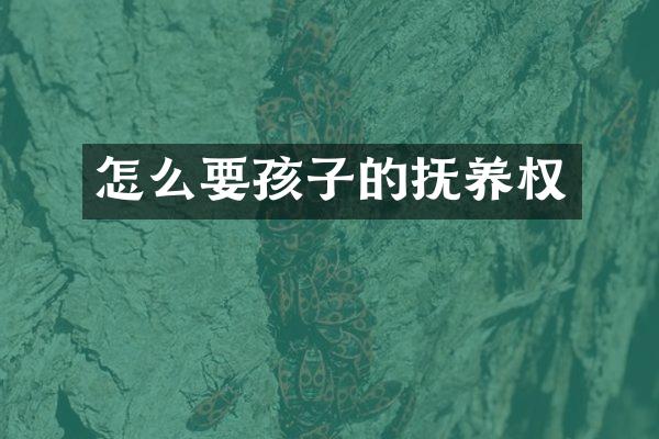 怎么要孩子的抚养权