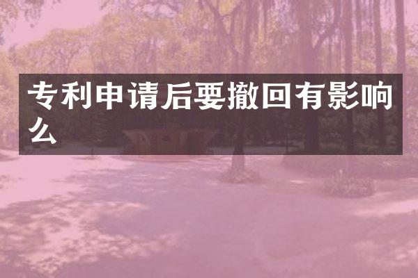 专利申请后要撤回有影响么