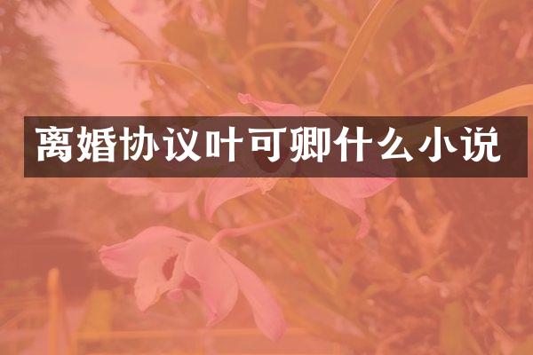 离婚协议叶可卿什么小说