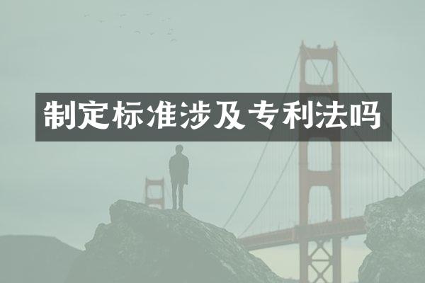 制定标准涉及专利法吗