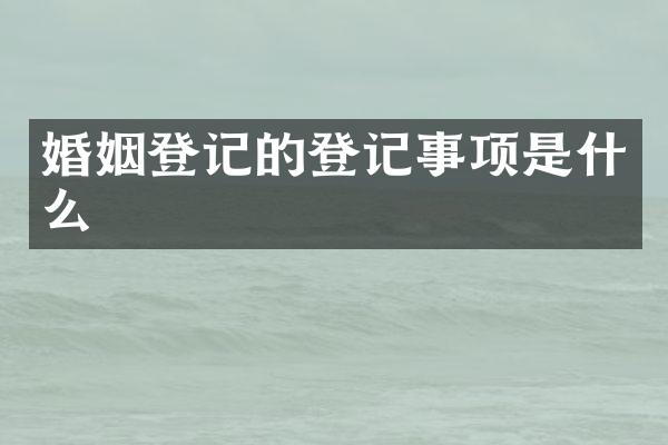 婚姻登记的登记事项是什么