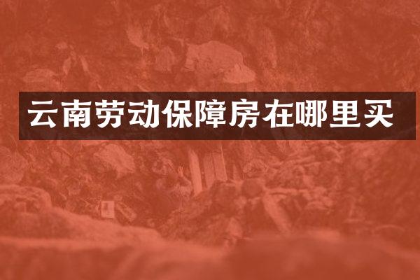云南劳动保障房在哪里买
