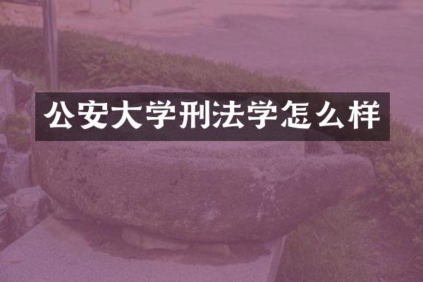 公安大学刑法学怎么样