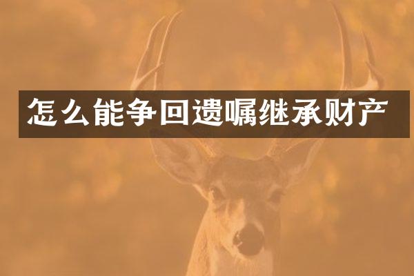 怎么能争回遗嘱继承财产