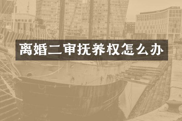 离婚二审抚养权怎么办