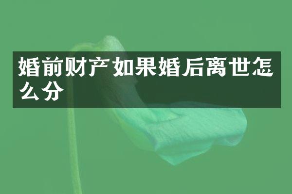 婚前财产如果婚后离世怎么分