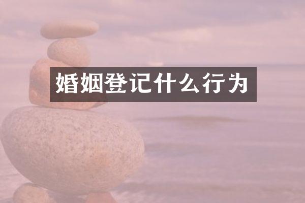 婚姻登记什么行为