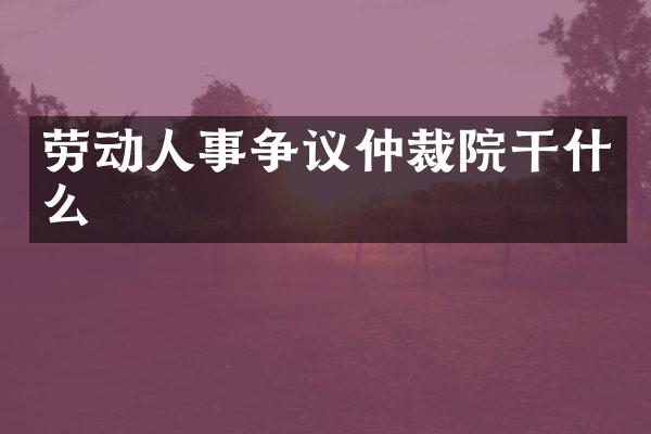 劳动人事争议仲裁院干什么