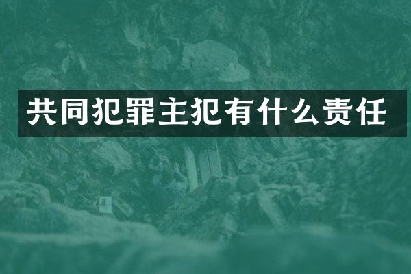 共同犯罪有什么责任