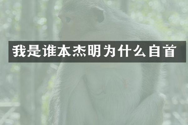 我是谁本杰明为什么自首