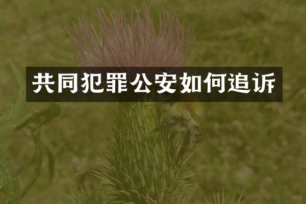 共同犯罪公安如何追诉