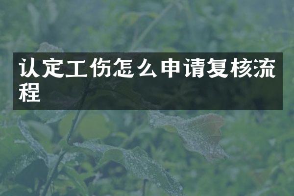 认定工伤怎么申请复核流程