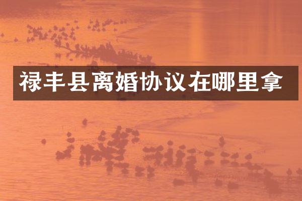 禄丰县离婚协议在哪里拿