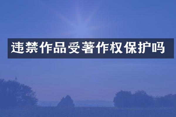 违禁作品受著作权保护吗