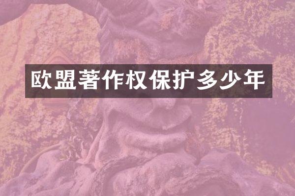 欧盟著作权保护多少年