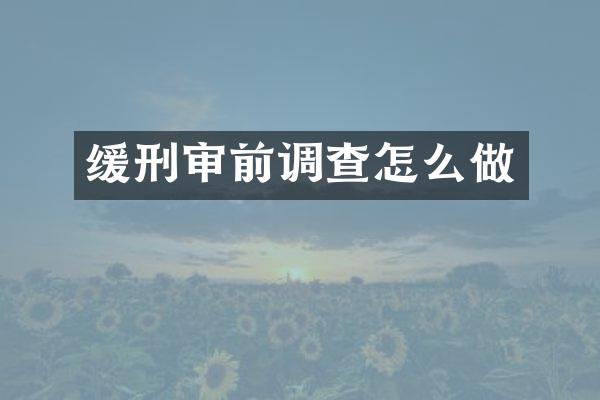 缓刑审前调查怎么做