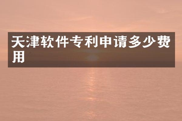 天津软件专利申请多少费用