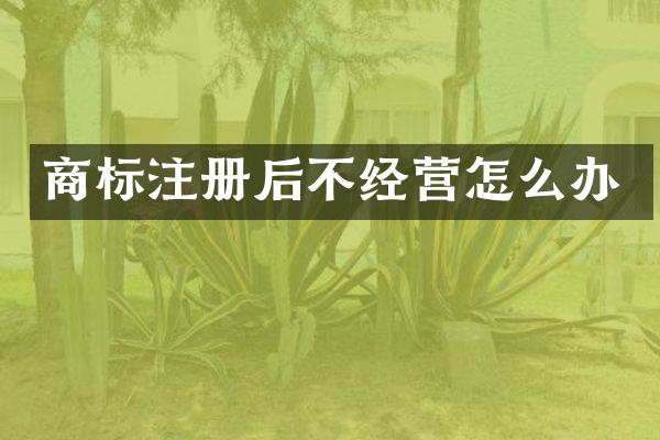 商标注册后不经营怎么办