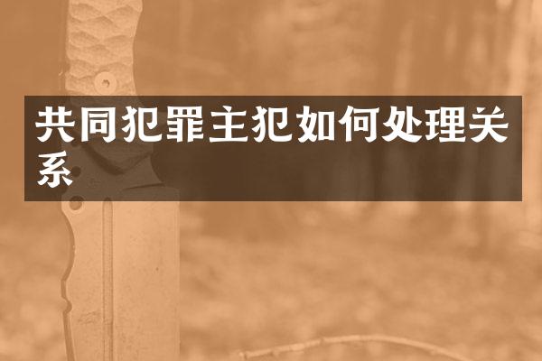 共同犯罪如何处理关系