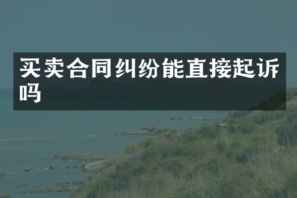 买卖合同纠纷能直接起诉吗