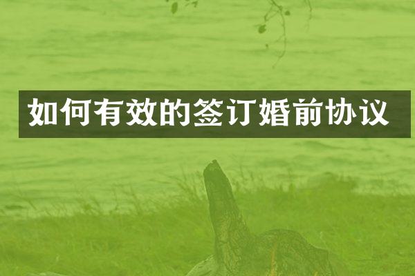 如何有效的签订婚前协议