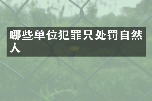 哪些单位犯罪只处罚自然人