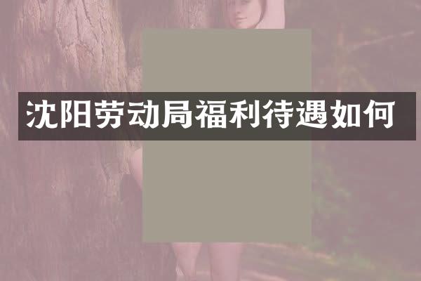 沈阳劳动局福利待遇如何