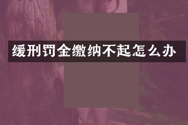 缓刑罚金缴纳不起怎么办