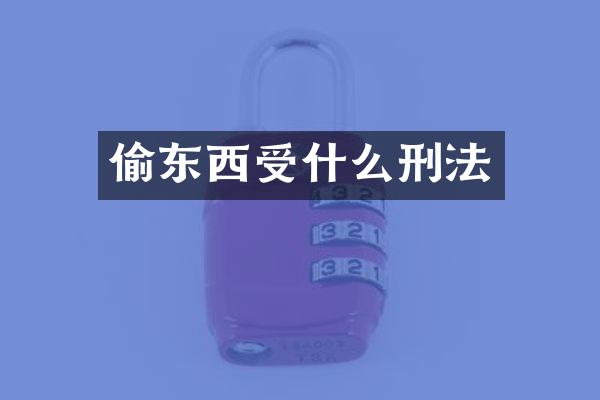 偷东西受什么刑法