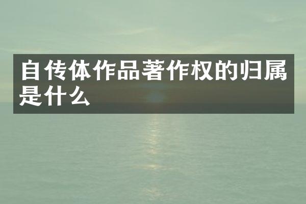自传体作品著作权的归属是什么