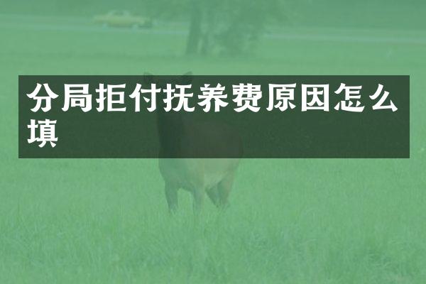 分局拒付抚养费原因怎么填