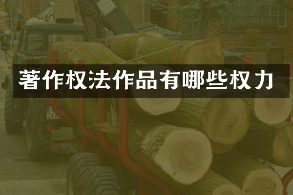 著作权法作品有哪些权力