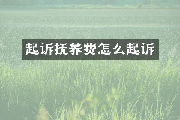起诉抚养费怎么起诉