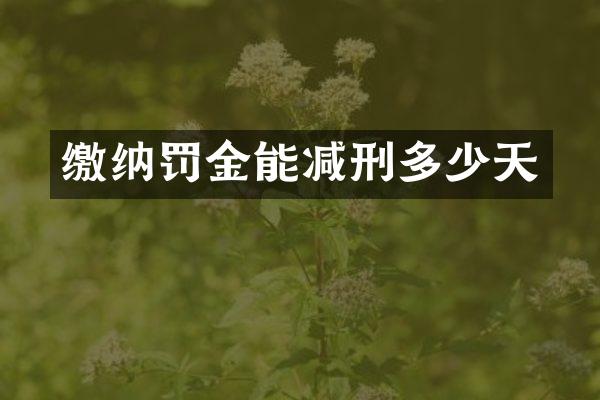 缴纳罚金能减刑多少天