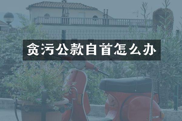 贪污公款自首怎么办
