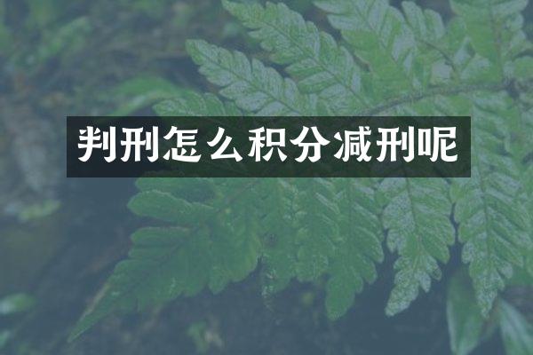 判刑怎么积分减刑呢