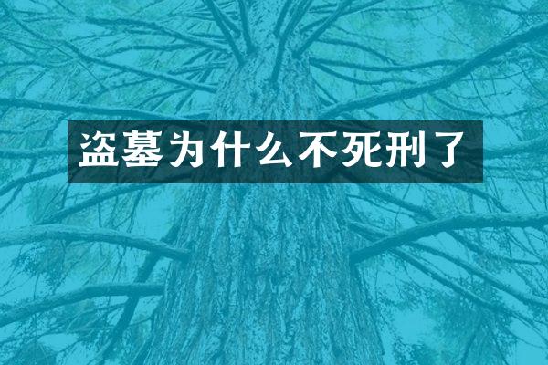 盗墓为什么不死刑了