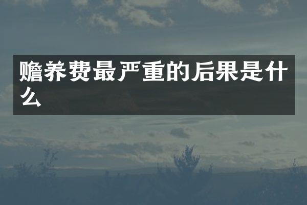赡养费最严重的后果是什么